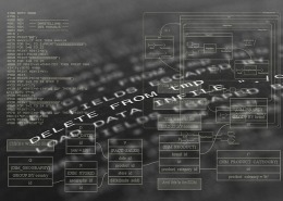 Het Belang van Professionals bij het Ontwikkelen van Nieuwe Software Platforms